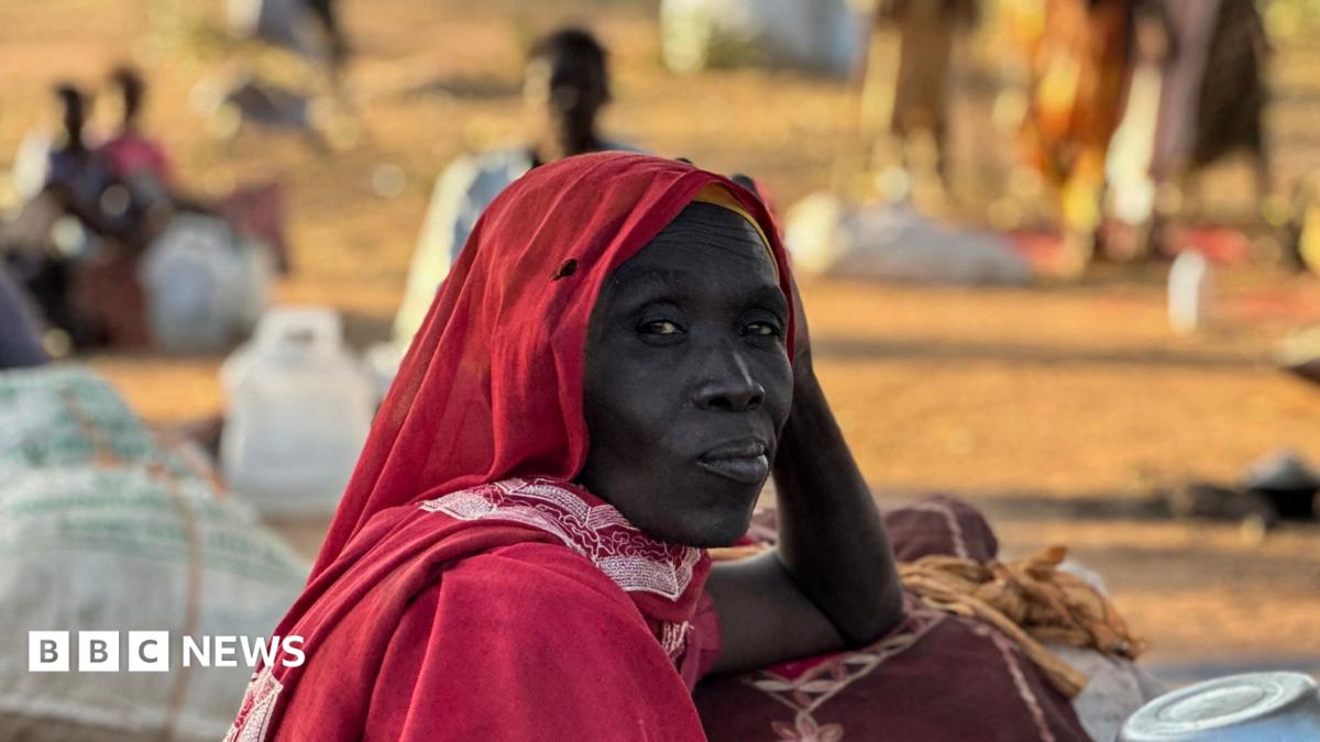 International court tells BBC of breakthrough in Sudan war crimes probe