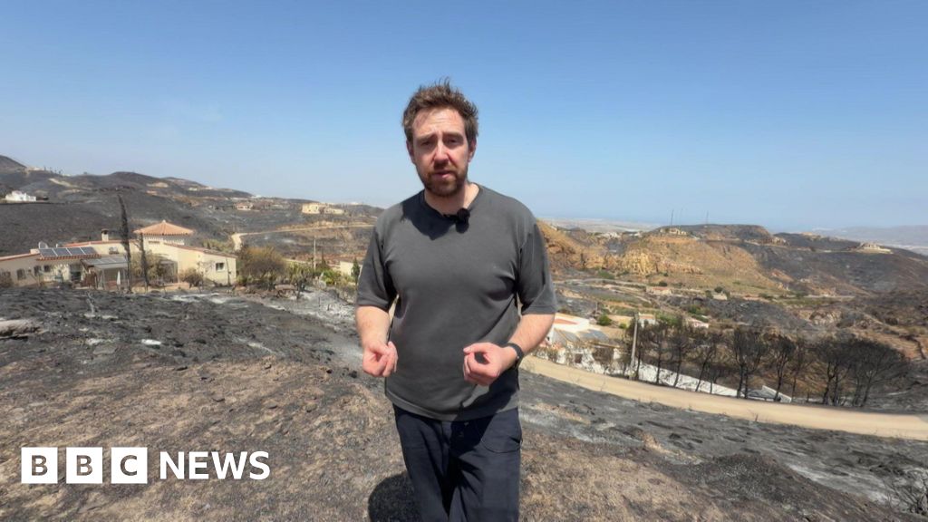 'This landscape is completely charred': Inside the village at epicentre of Spain's wildfires