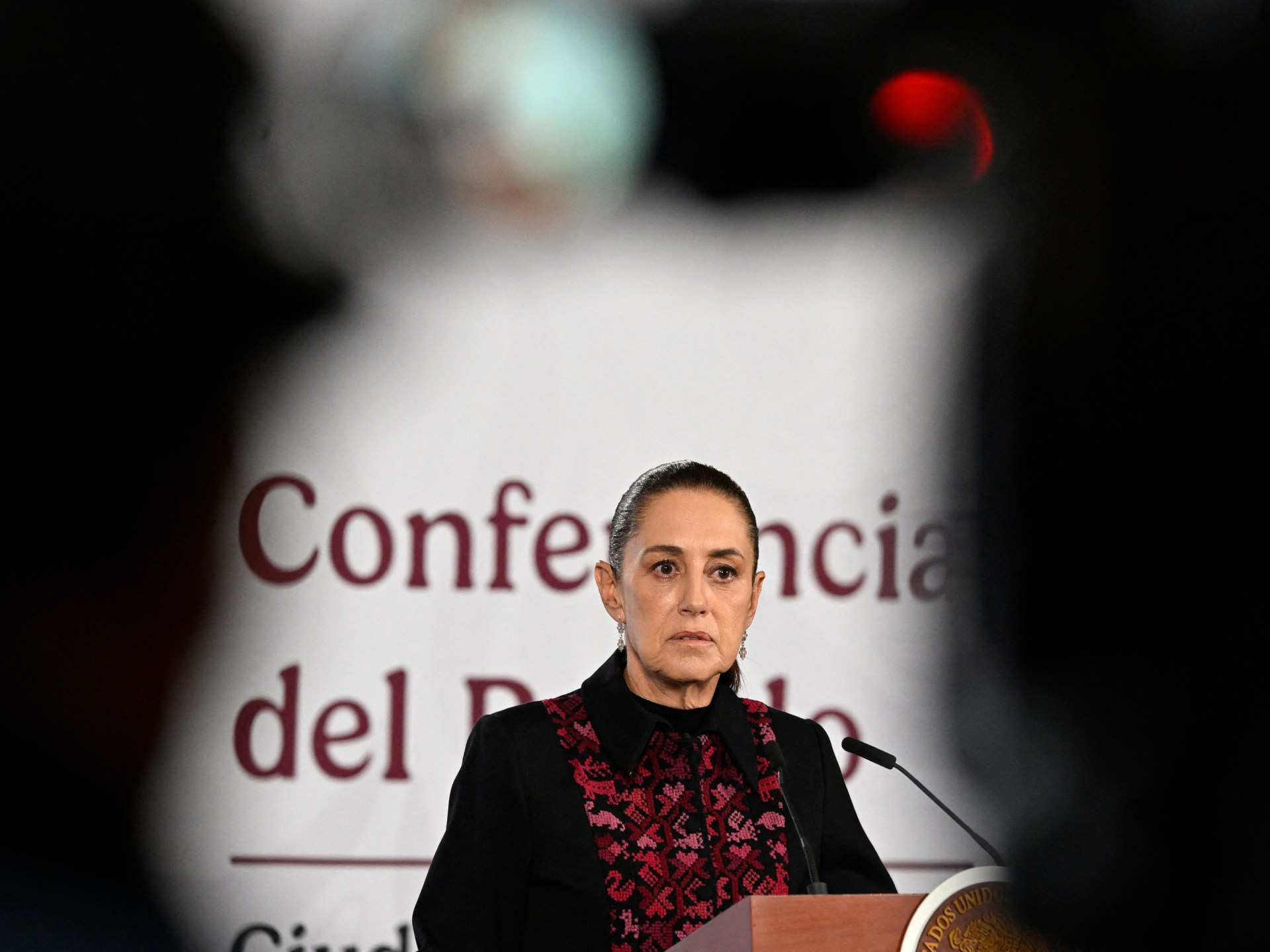 Mexico begins legal action in US over deaths of its citizens in ICE custody