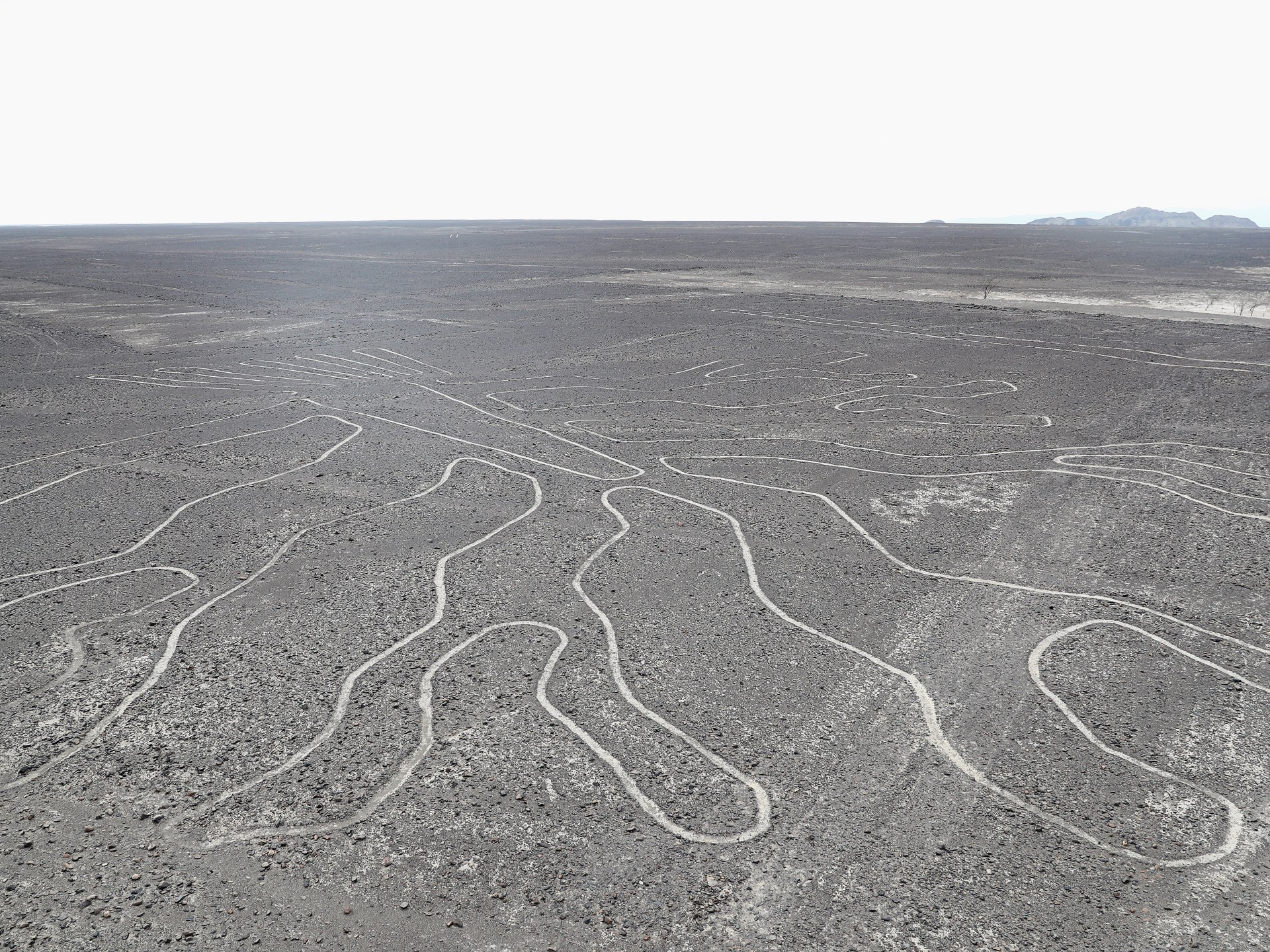 Police say 13 killed as small plane viewing Nazca Lines in Peru crashes