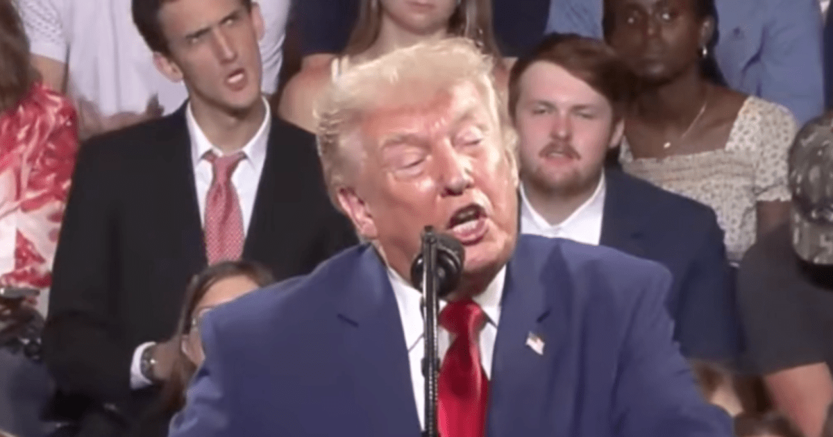 Rally attendee steals the show by mimicking Trump’s gestures