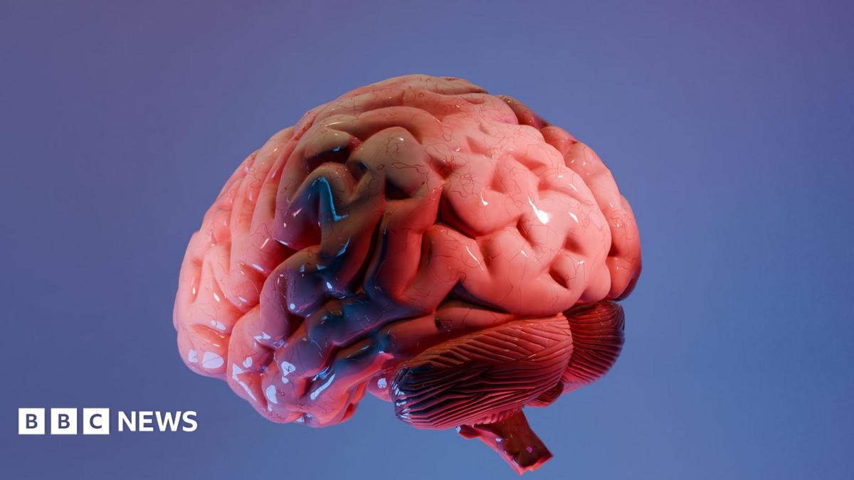 How Indian scientists are mapping the brain's last frontier
