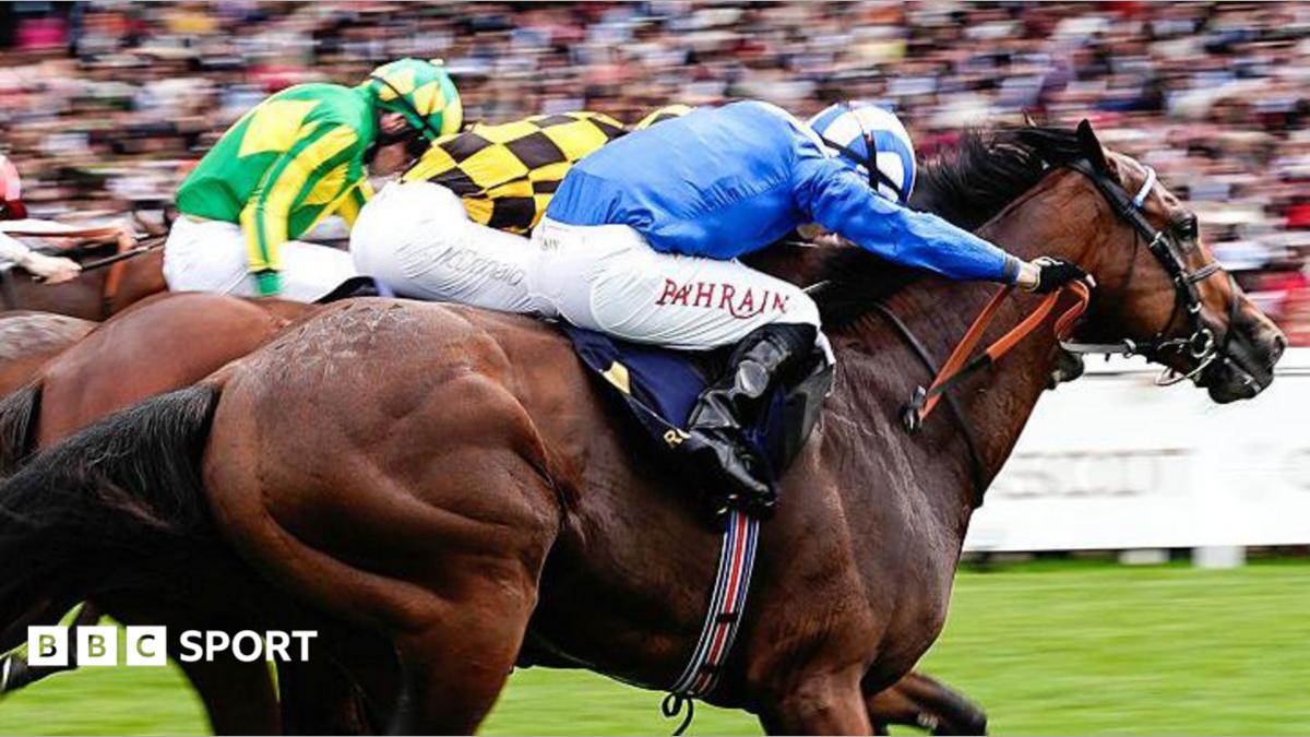 Almeraq completes return from 'horror fall' with Ascot win
