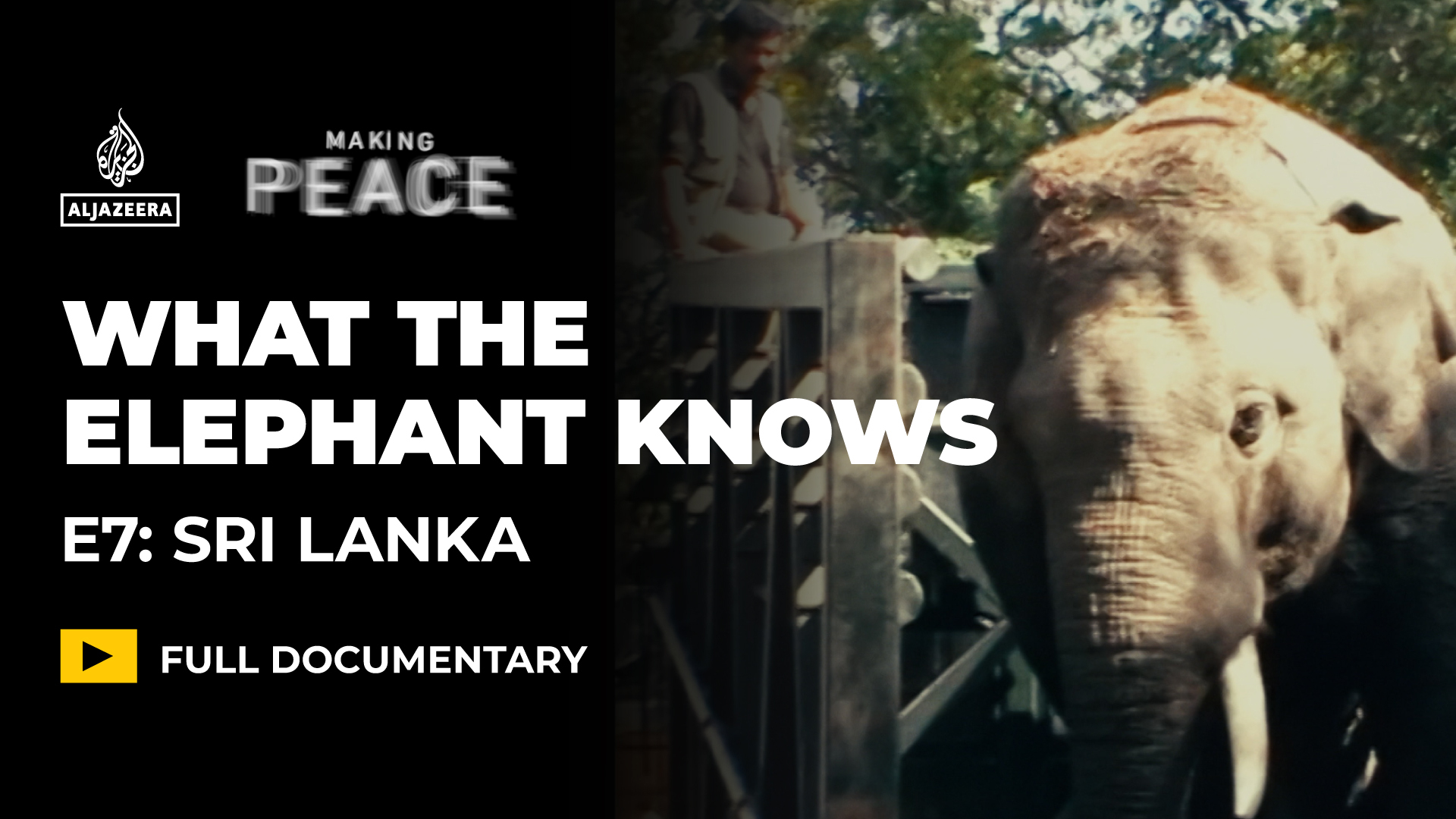 What The Elephant Knows | Ep 7 – Sri Lanka