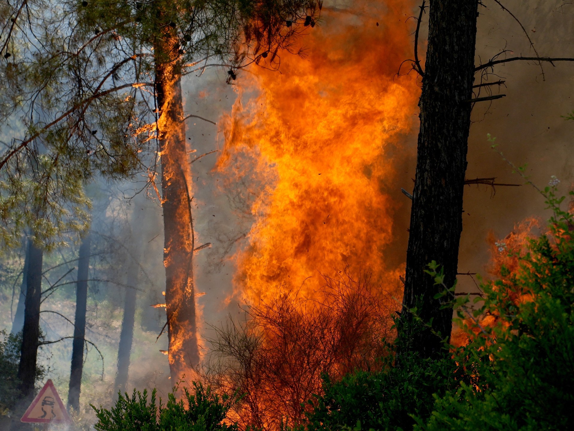 Europe’s heating climate sparks ‘major intensification’ of fires: Report