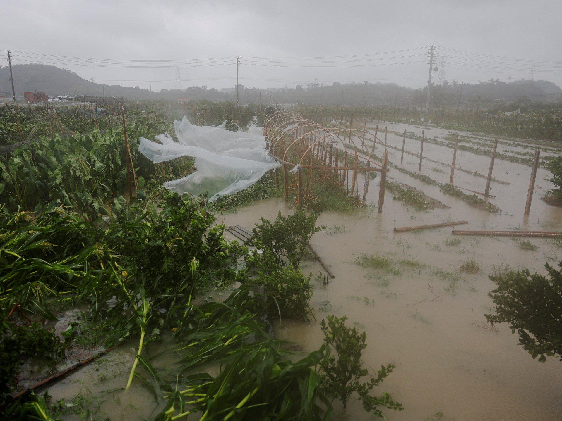 Typhoon Bavi weakens to tropical storm as it slams into eastern China