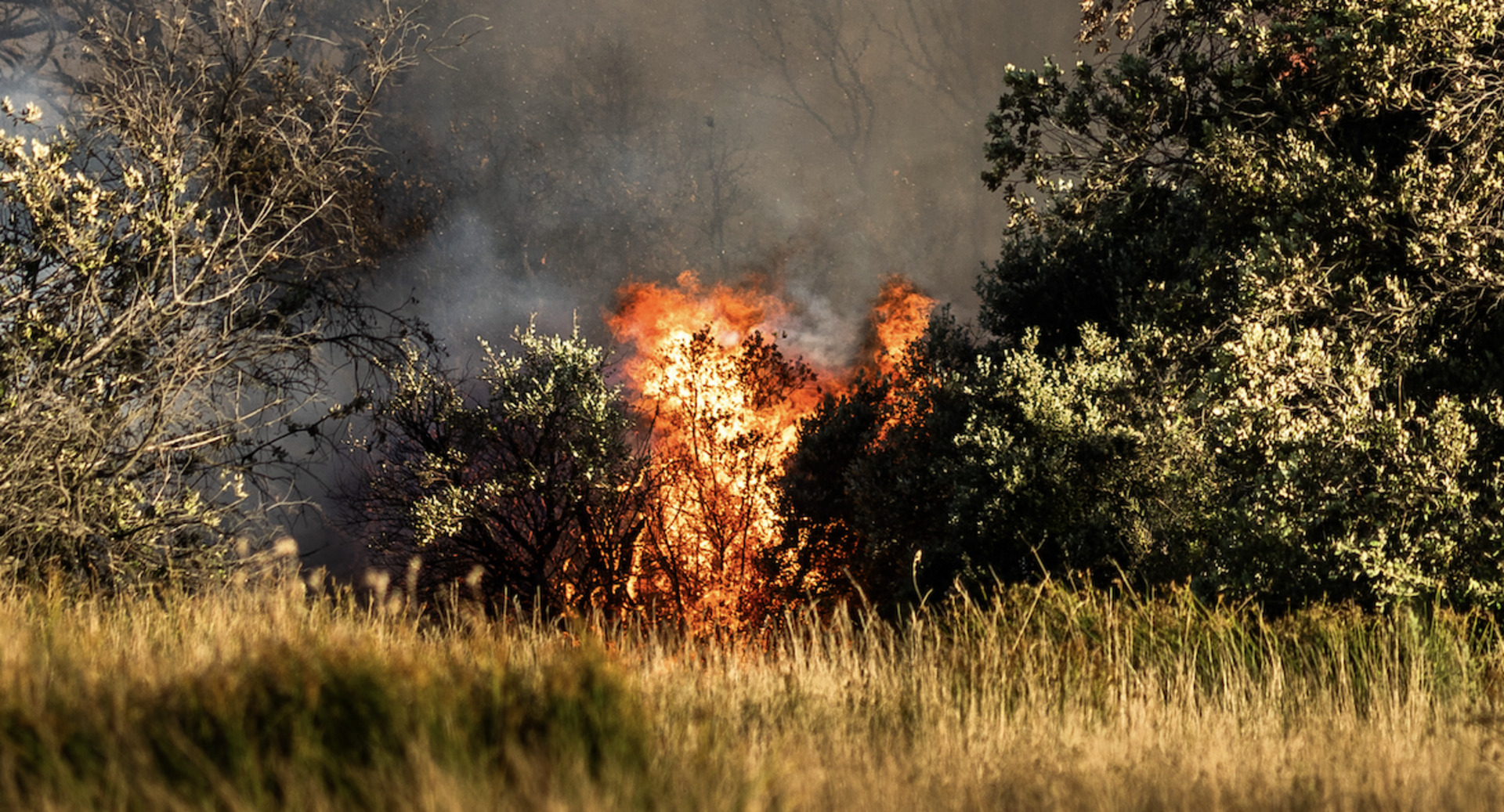 10,000 people evacuated as wildfire tears through southern France