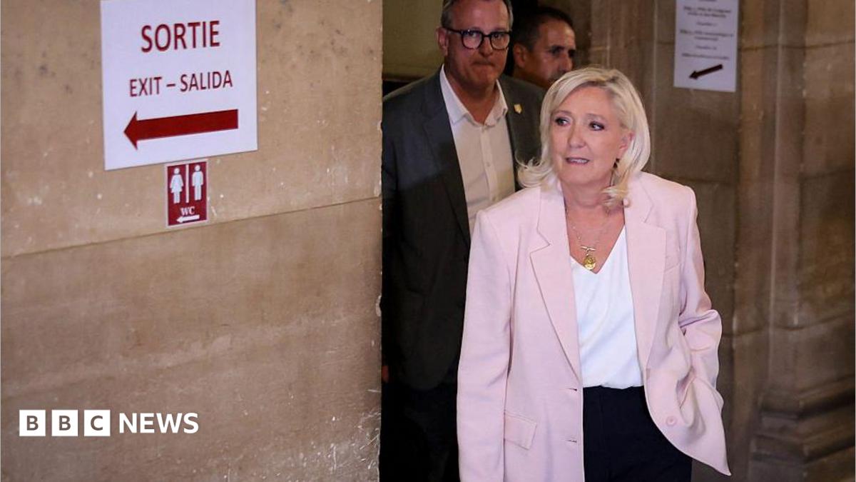 Marine Le Pen to run for French presidency and appeal conviction in top court