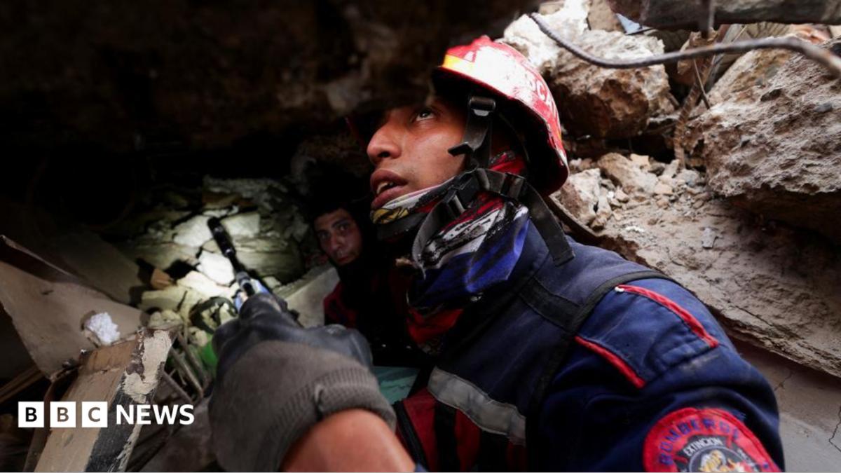 Dogs, drones and sound detectors: How rescuers search for quake survivors