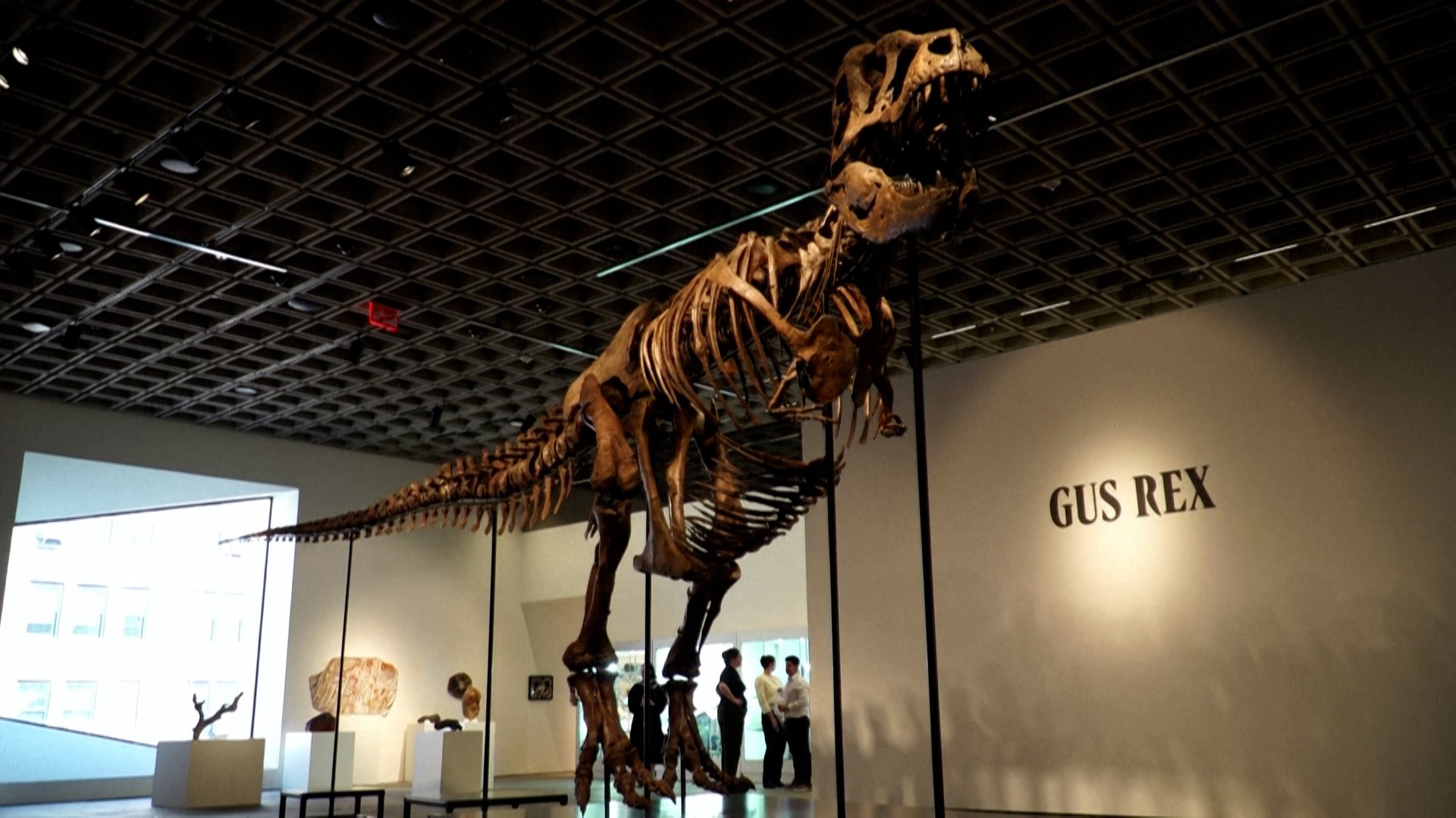T.Rex skeleton sells for $50.1 million at New York auction