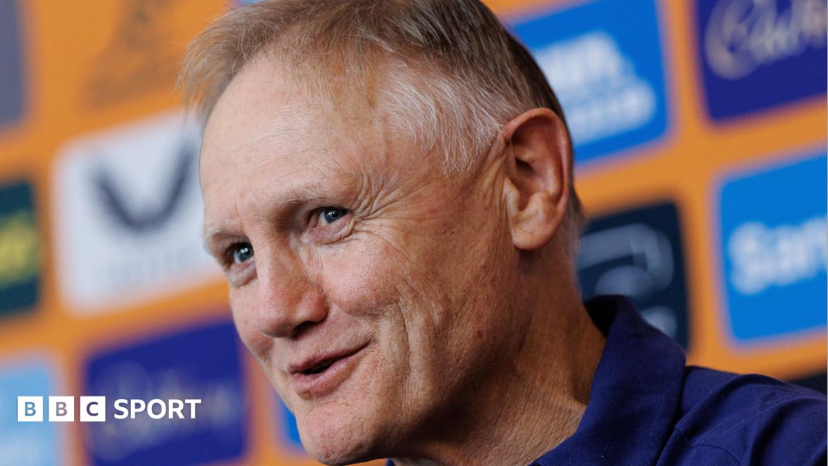 Schmidt rules out Leinster return after Australia exit