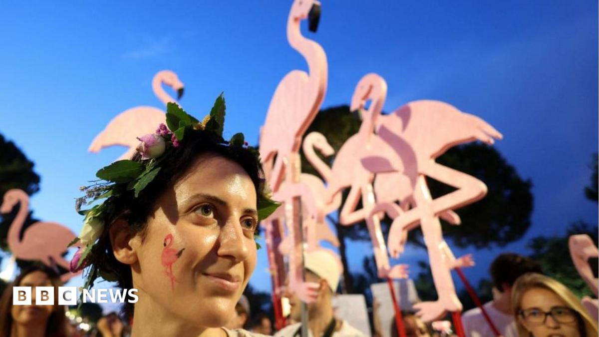 'Flamingo Revolution' takes off as thousands demand Albanian PM's resignation 