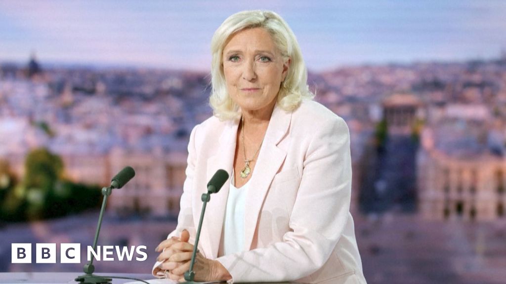 Watch: Marine Le Pen confirms run for French presidency