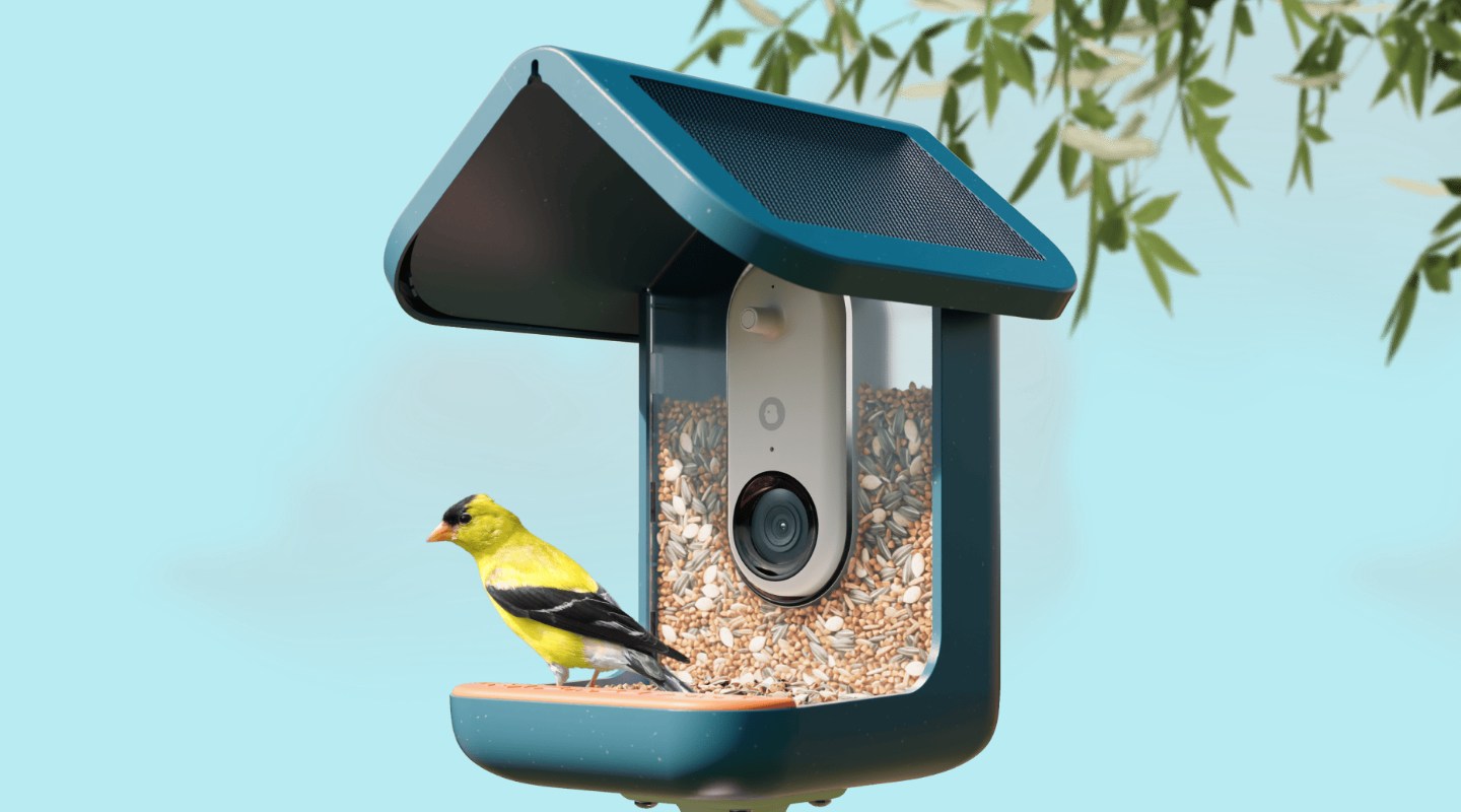 This video bird feeder is the surprise hit of Prime Day