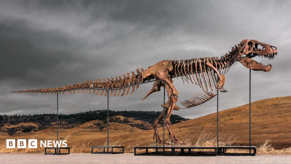 Tyrannosaurus rex most expensive dinosaur ever sold