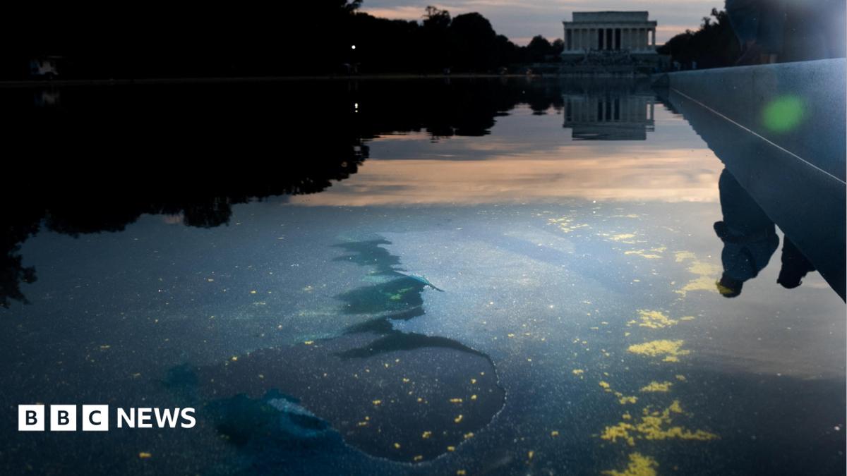 Reflecting Pool liner cut with sharp knife or razor, National Park Service says