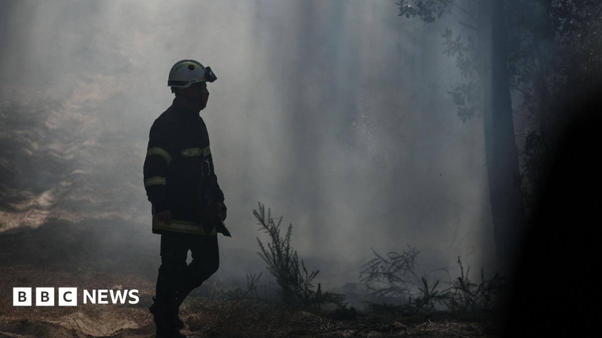 Gironde wildfires pick up as French region braces for new 40C heatwave