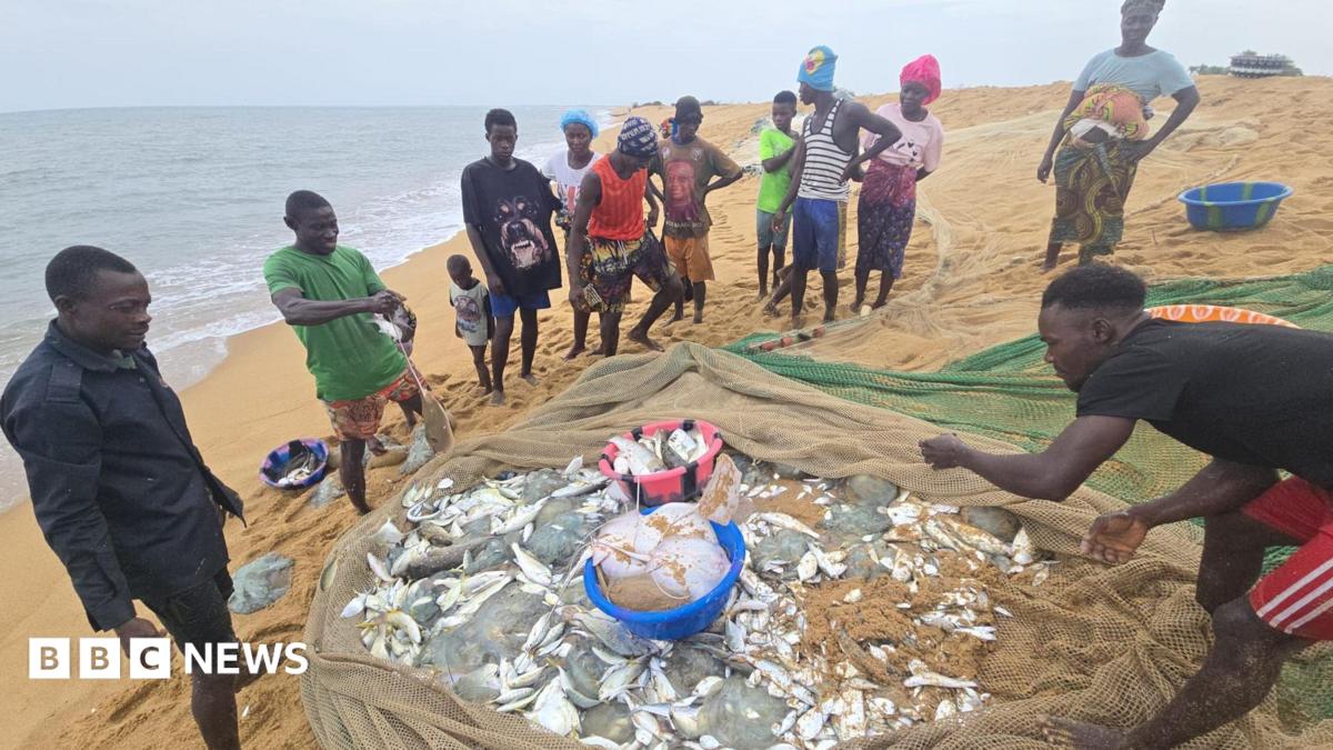 The African fishermen who blame Chinese trawlers for their woes