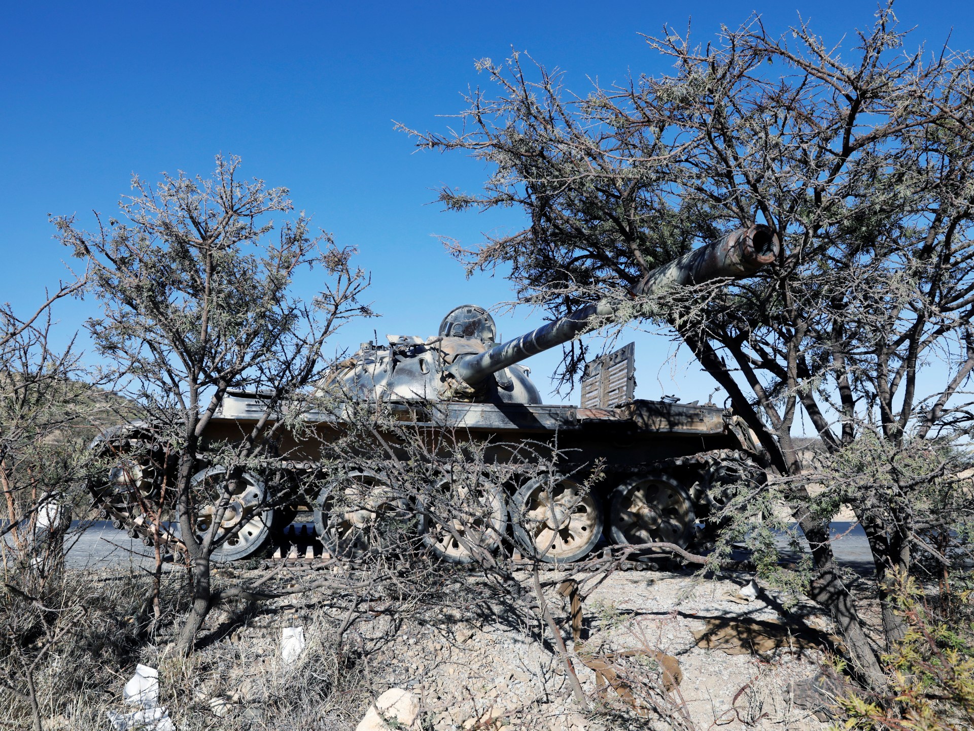 Ethiopia is not being ‘dragged into war’