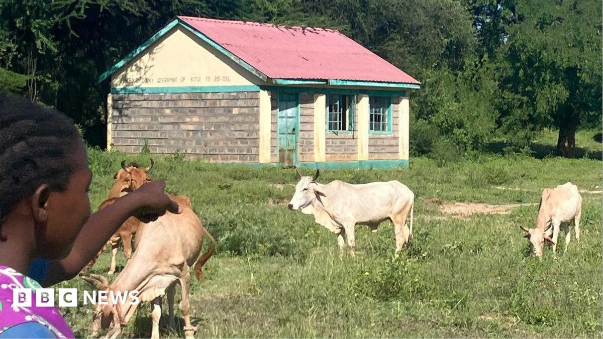 More cows than pupils - what is behind mass school closures in rural Kenya?