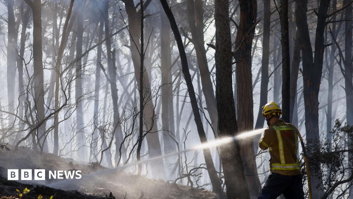 Twelve die in wildfire in Spain as heatwave continues in southern Europe