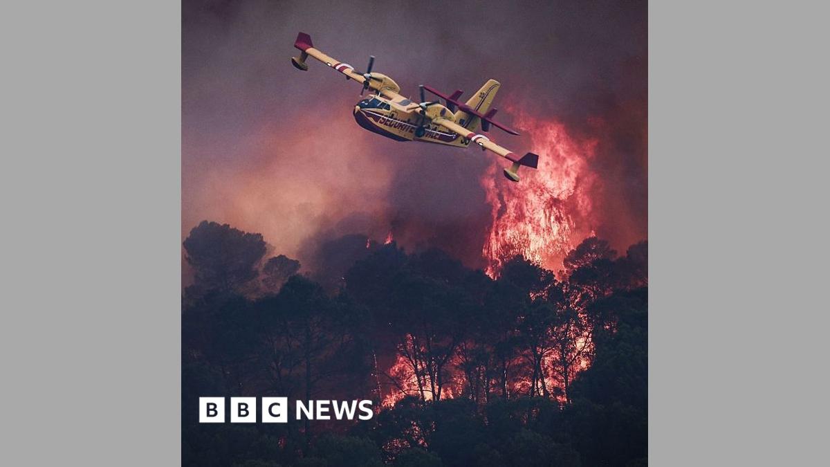 Devastating European wildfires in maps - and how they're being tackled