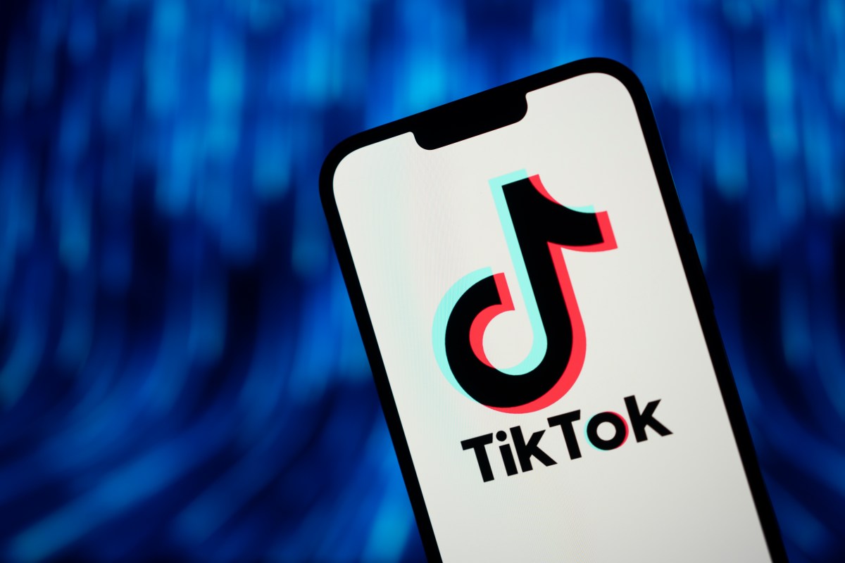 Federal employees can download TikTok on their work phones again