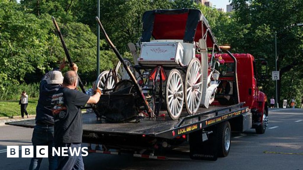 Teenager dies in horse-drawn carriage accident in New York