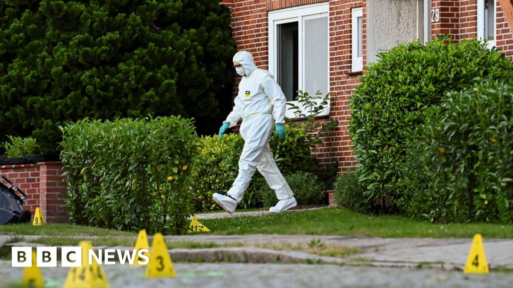 What do we know about the shooting in Stade, Germany?
