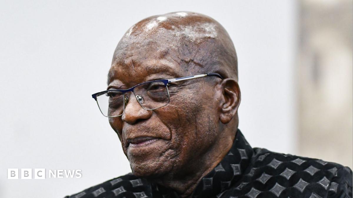 Zuma showing South Africa 'middle finger' by meeting Gupta brother - minister