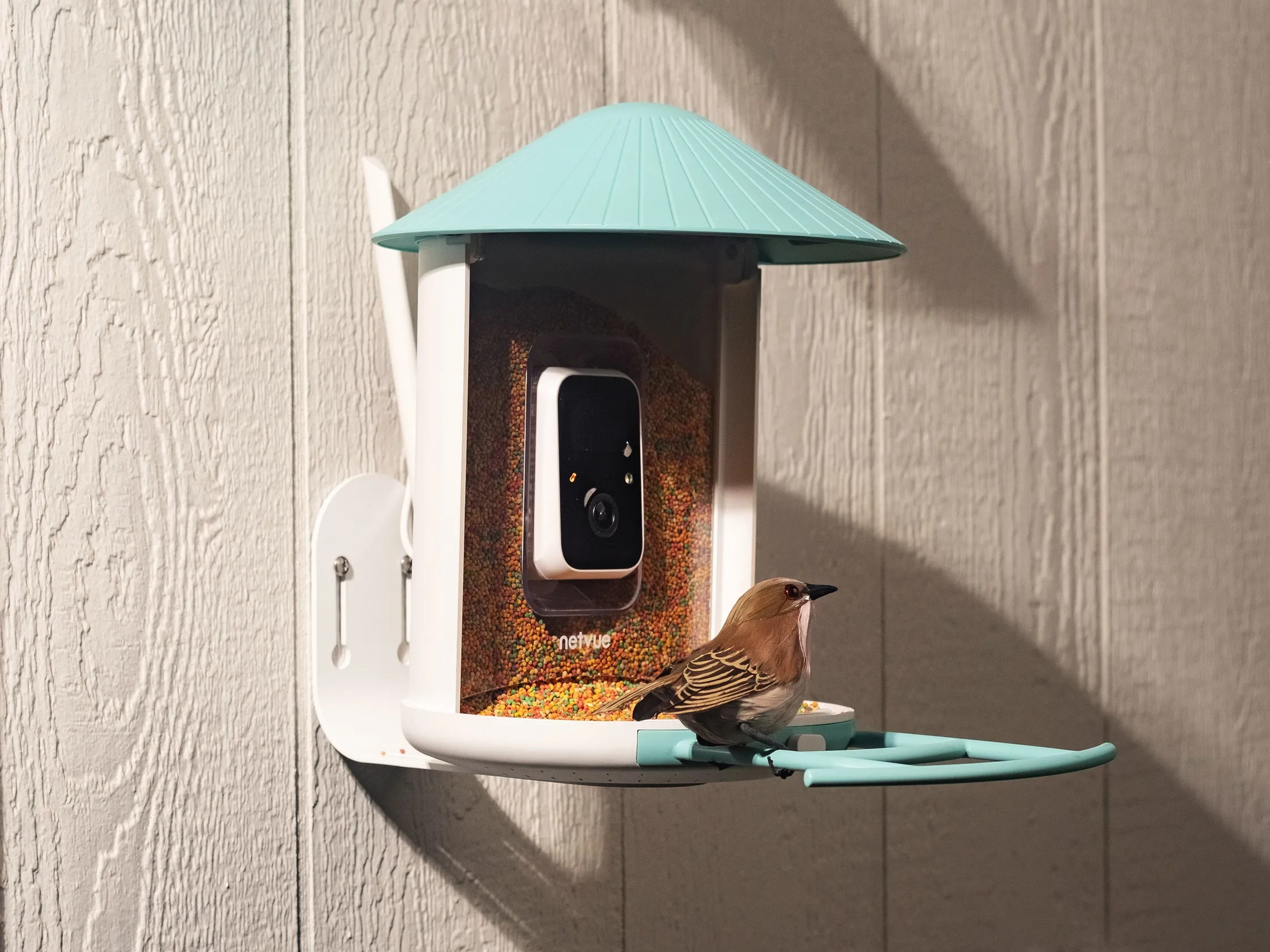 Birdfy’s solar-powered smart feeder is down to one of its best prices