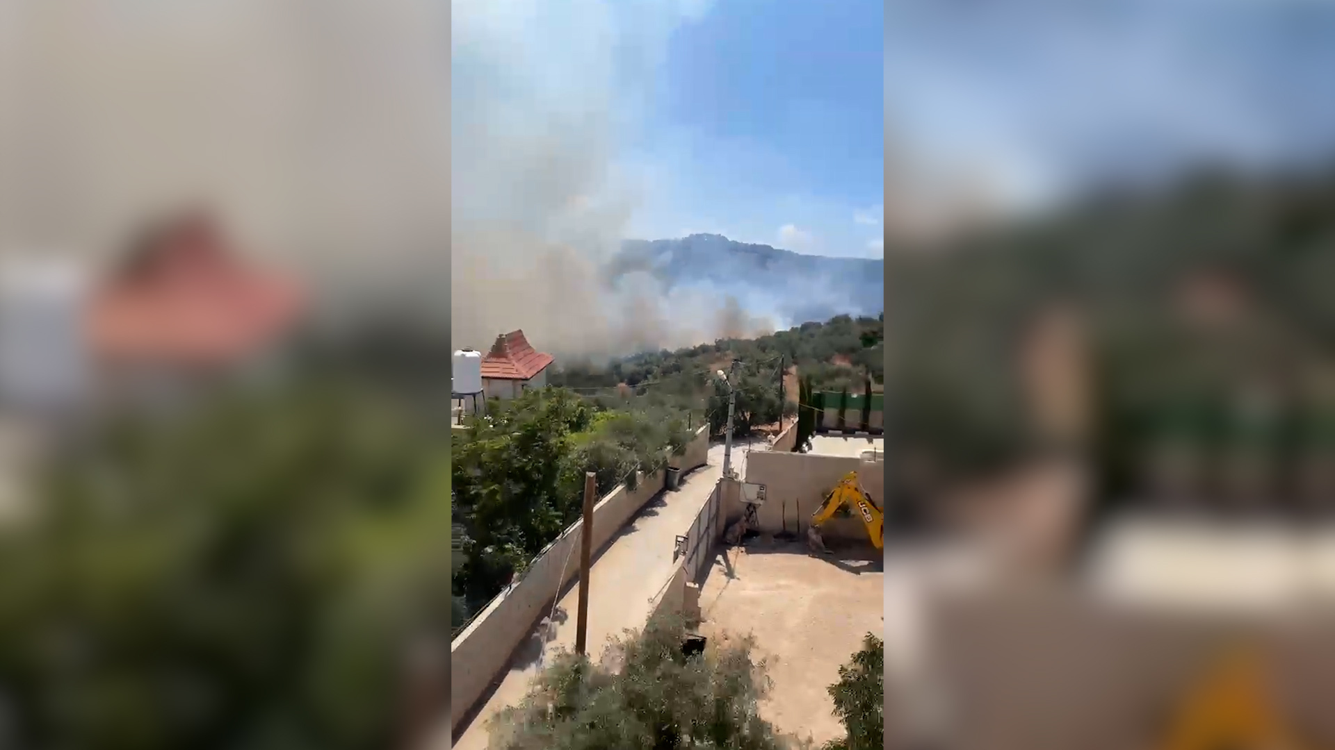 Israeli forces set olive trees on fire in occupied West Bank