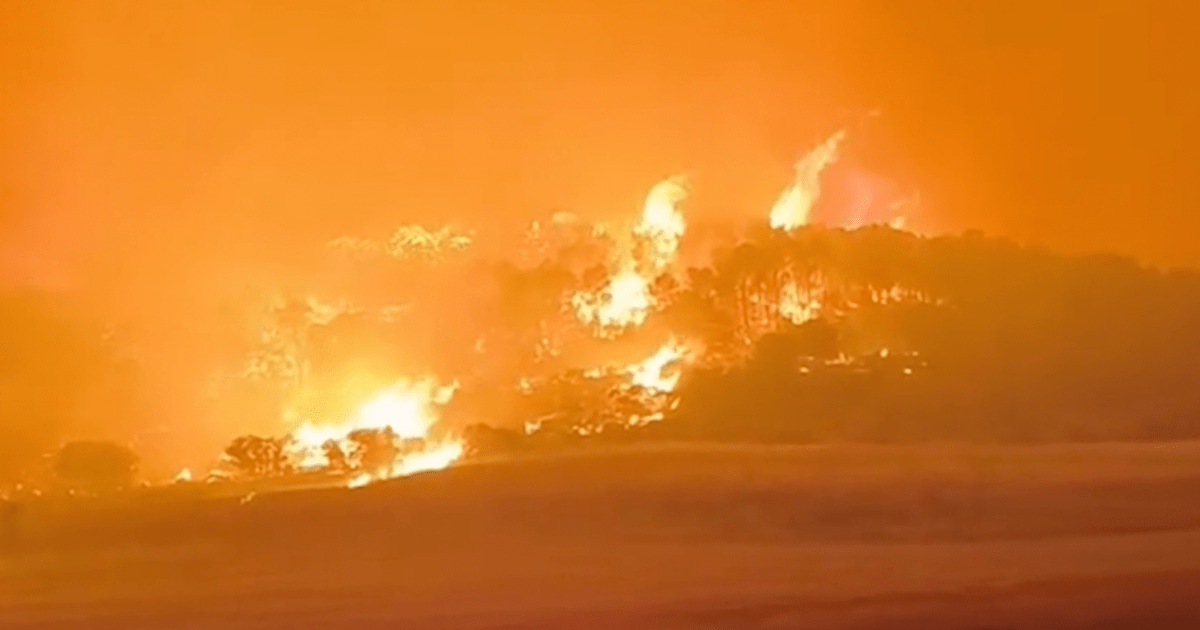Heatwave drives major wildfires across North Africa