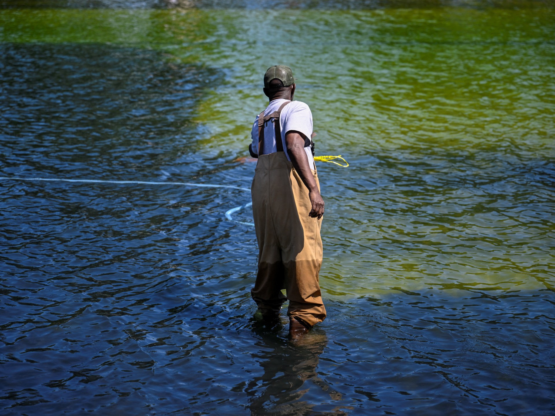 Why Washington’s reflecting pool has gone from ‘US blue’ to algae green