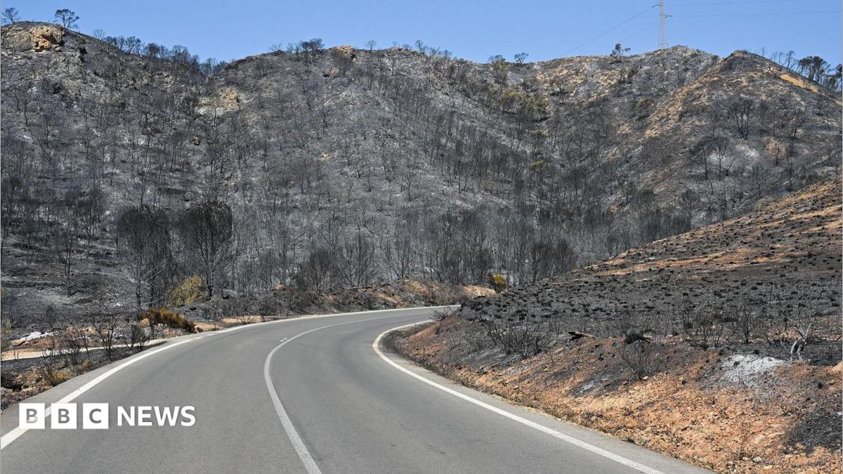 Badly burned British couple rescued from ravine during Spain wildfires 