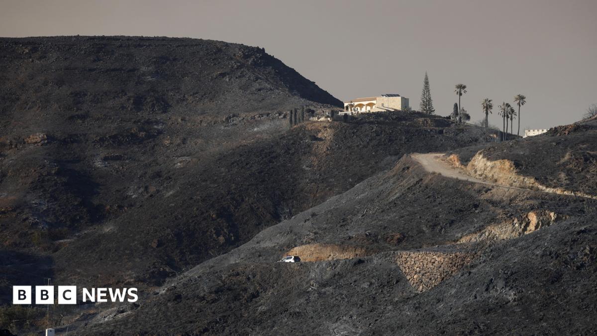 Seven Britons among those killed in Spain wildfires