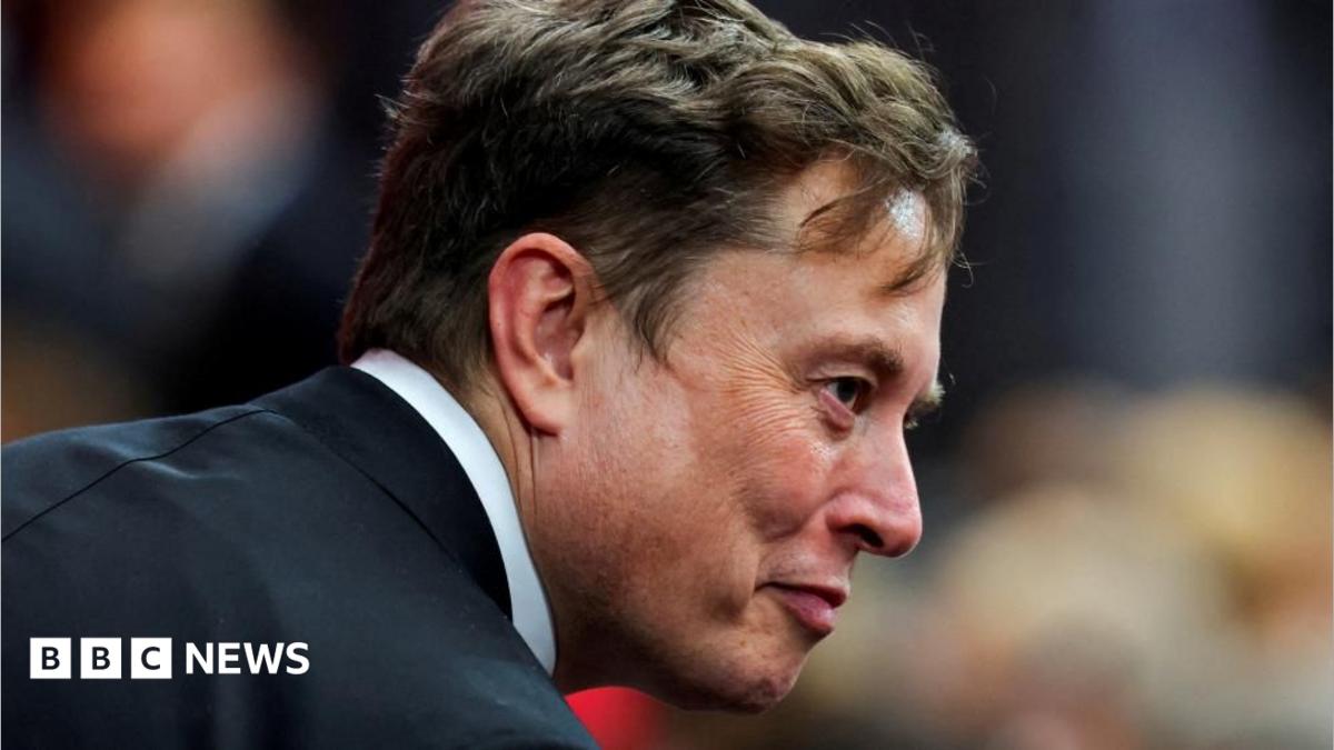 Musk takes 'crusade' to Europe with Armie Hammer film