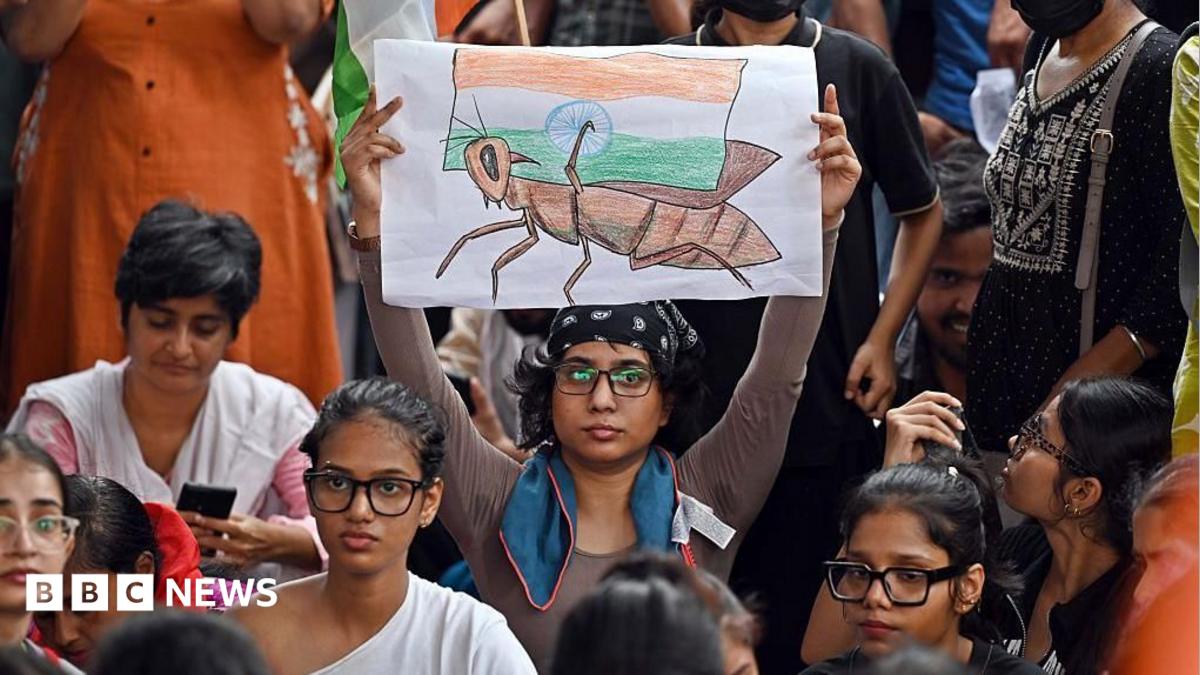 India's Modi government under growing pressure as 'cockroach' protests intensify