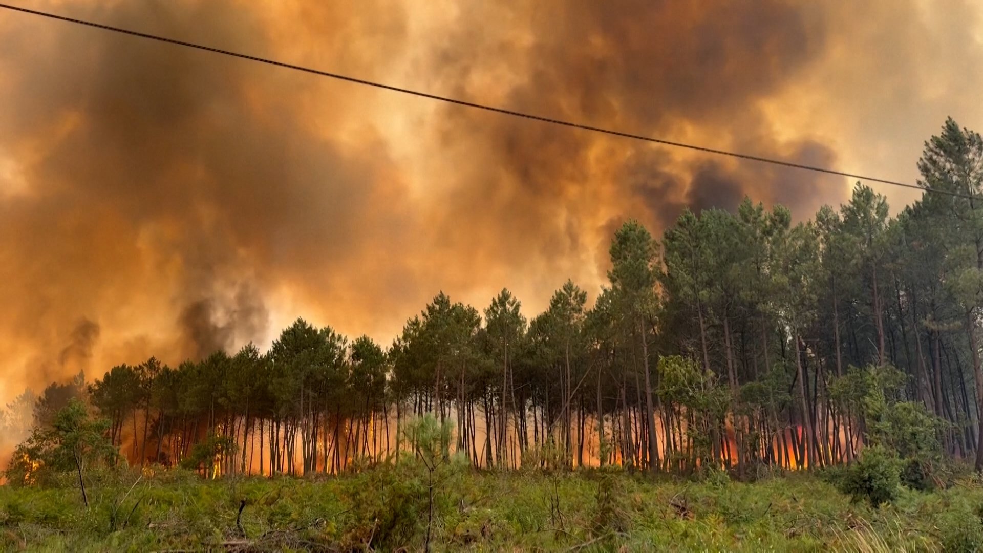 Bordeaux wildfire burns 3,100 hectares, 20,000 evacuated
