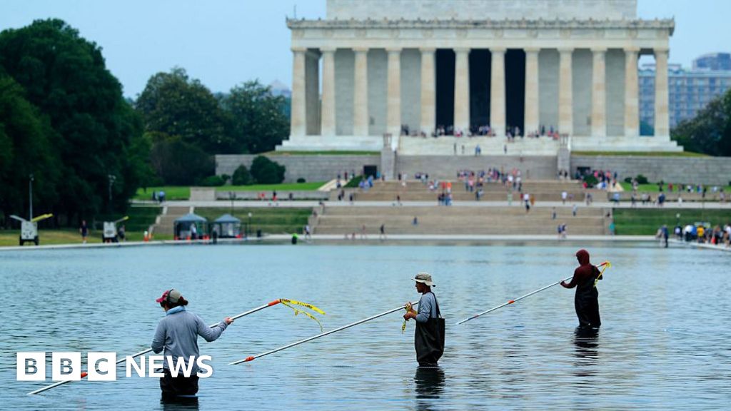 Former Olympian denies vandalising Washington Reflecting Pool after arrest