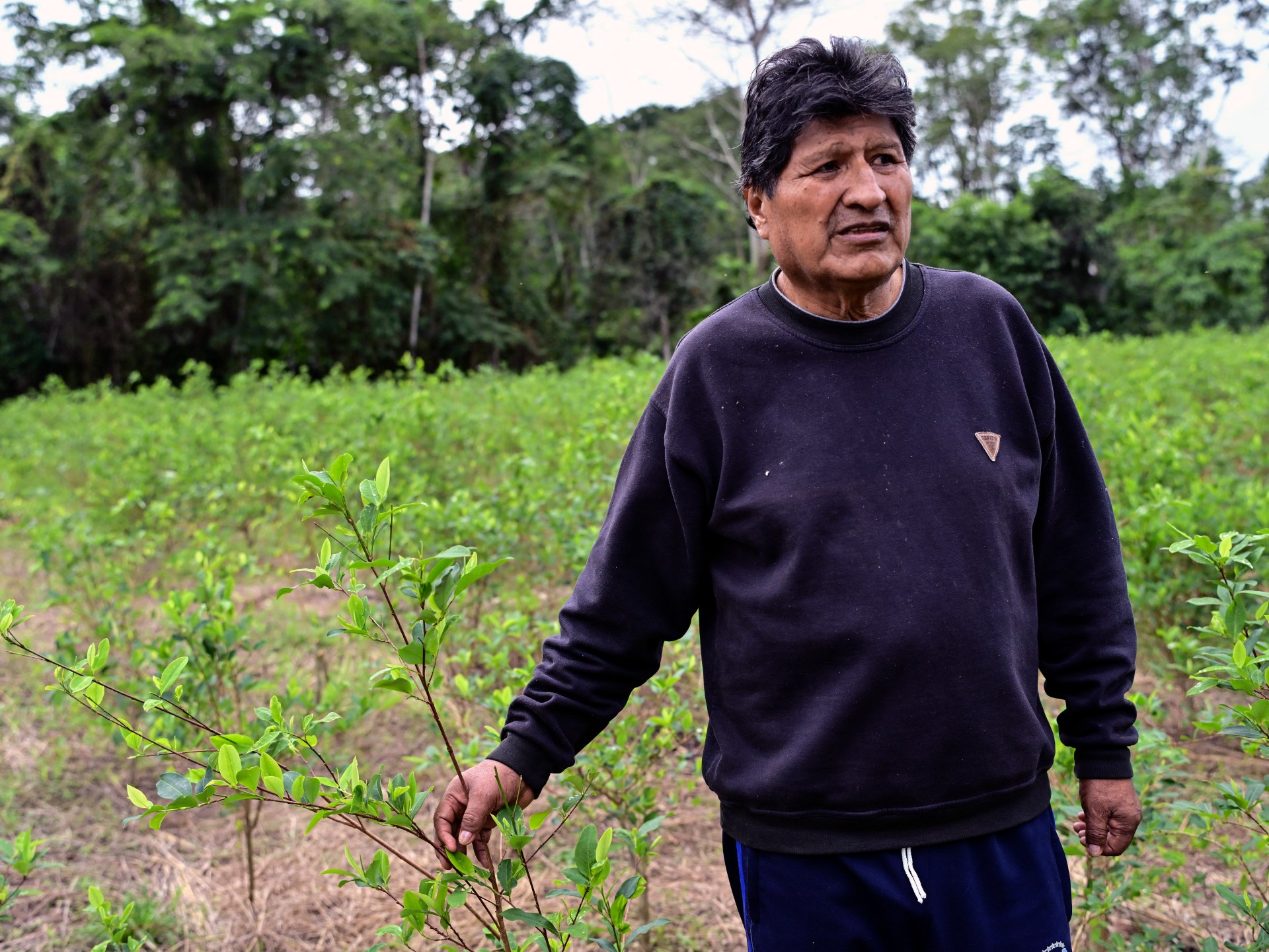 Evo Morales defiant after new Bolivia arrest warrant