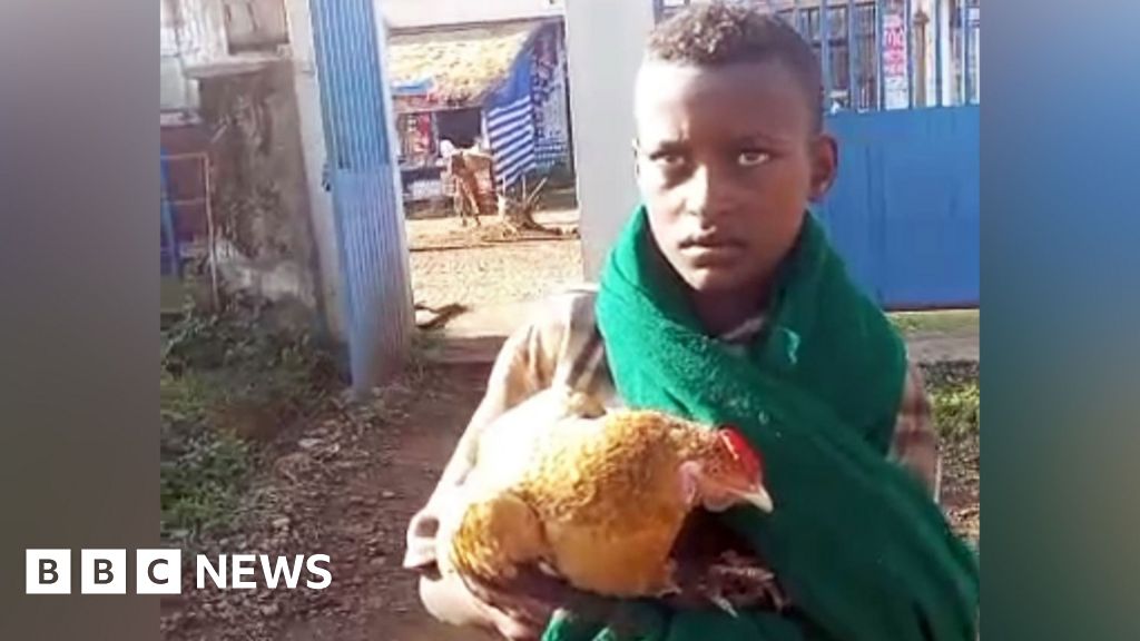 Boy, 12, wins hearts after trying to check sick chicken into Ethiopian hospital