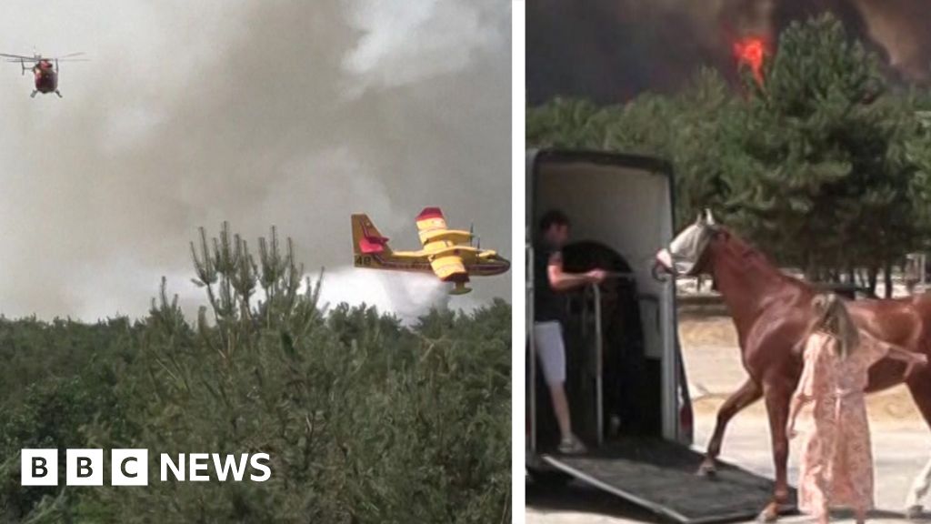 Watch: Horses evacuated as fire approaches riding centre near Paris