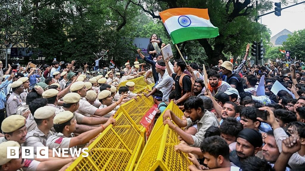 Why have thousands taken to the streets? India's 'cockroach' protest explained