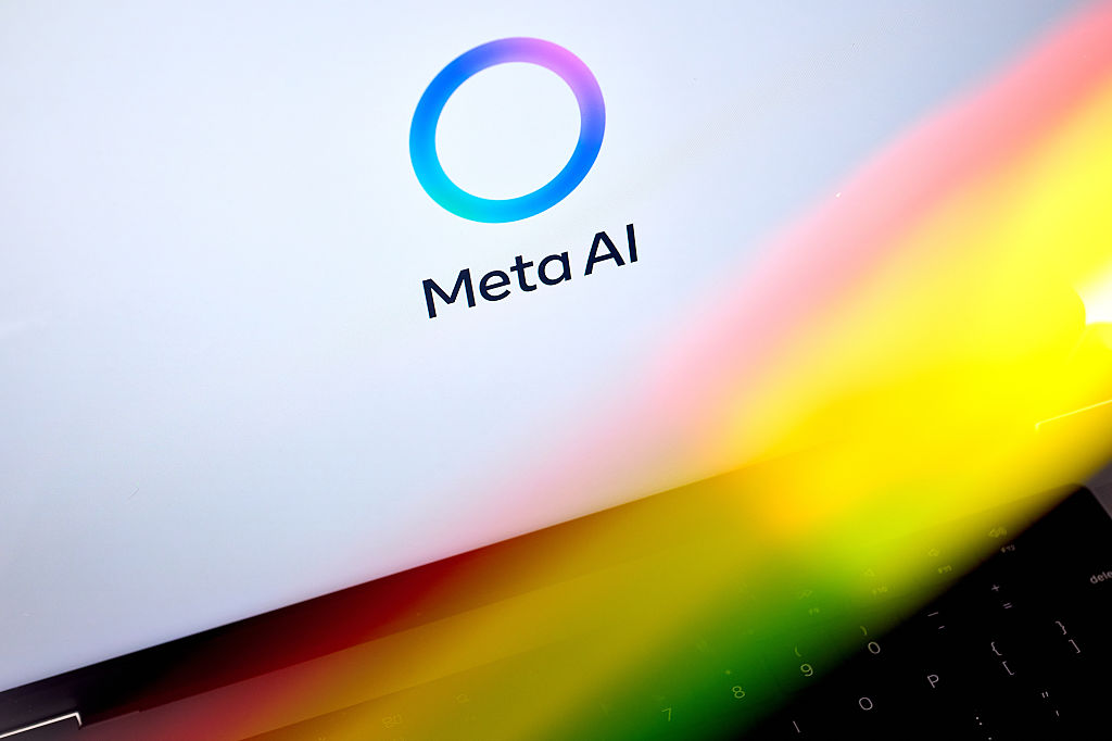 Meta, like SpaceX, looks to turn excess AI compute into cash