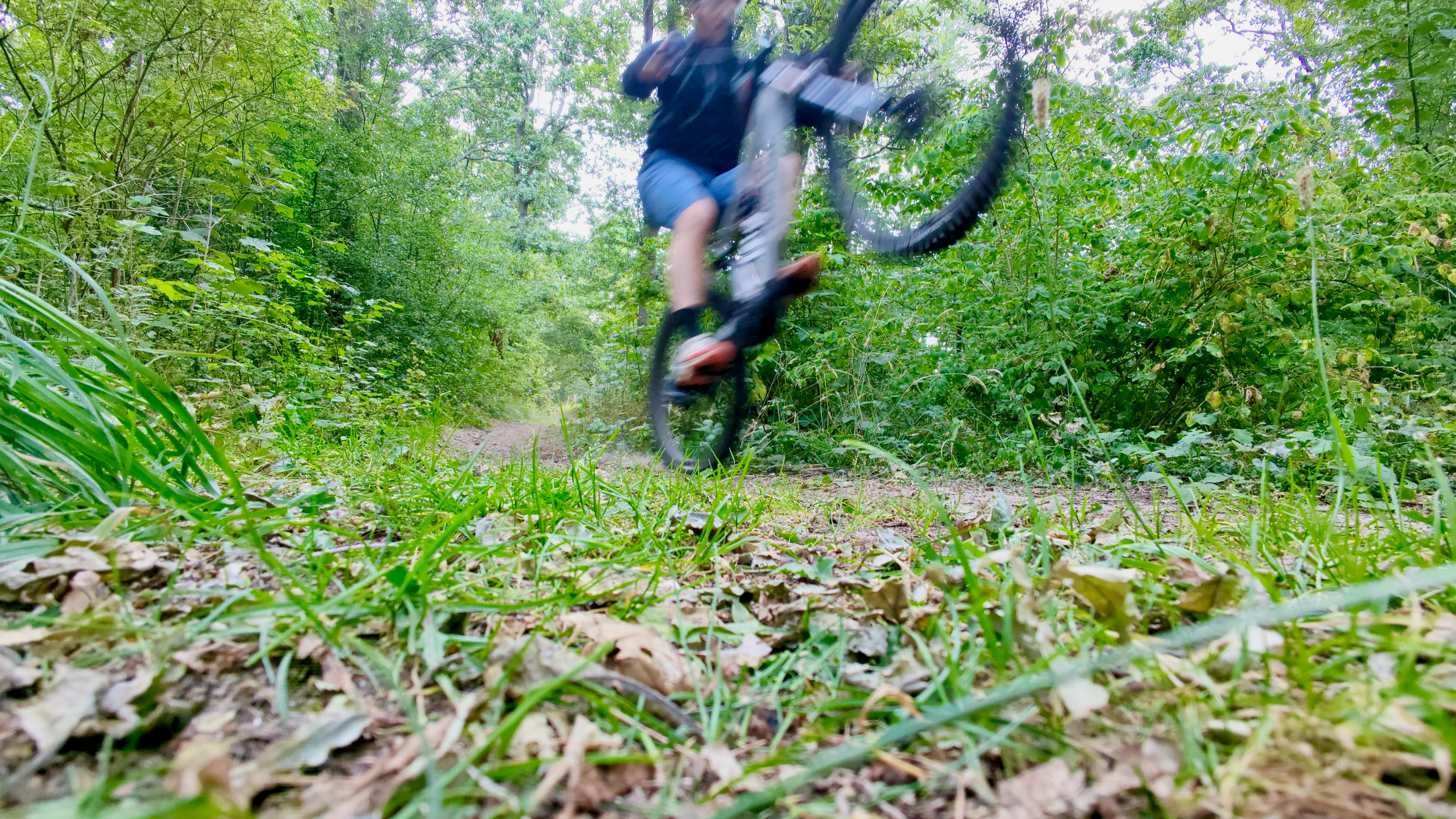 Fine, electric mountain bikes don’t suck