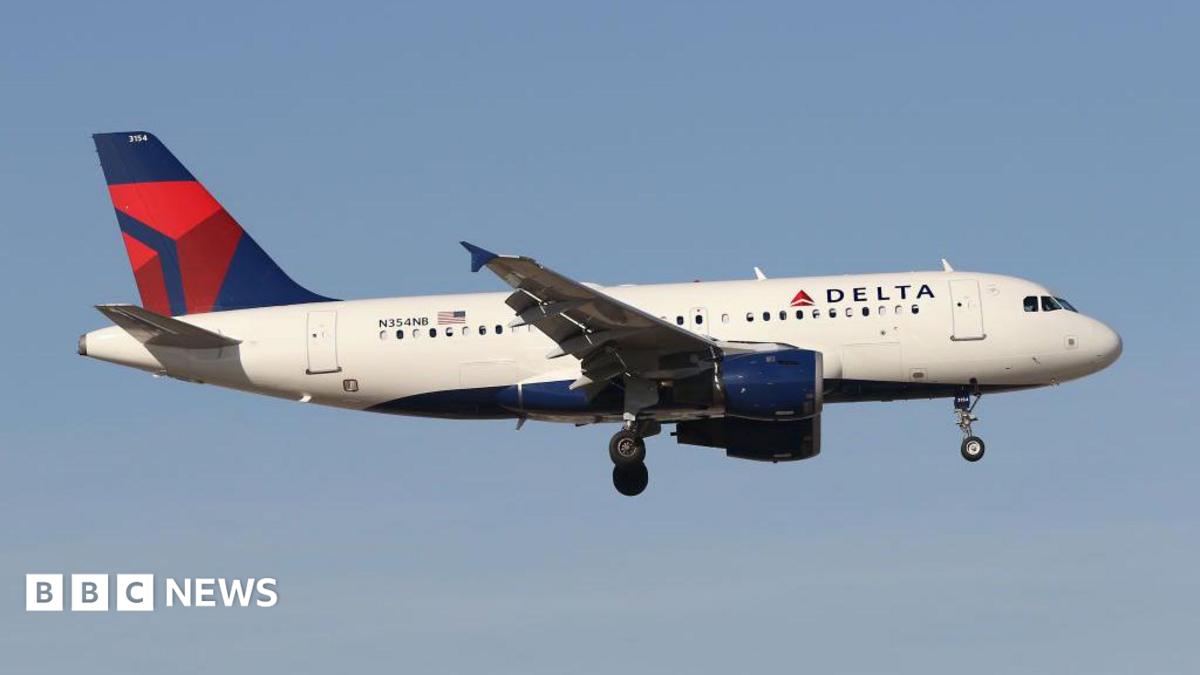 Plane hit by firework while landing in Chicago