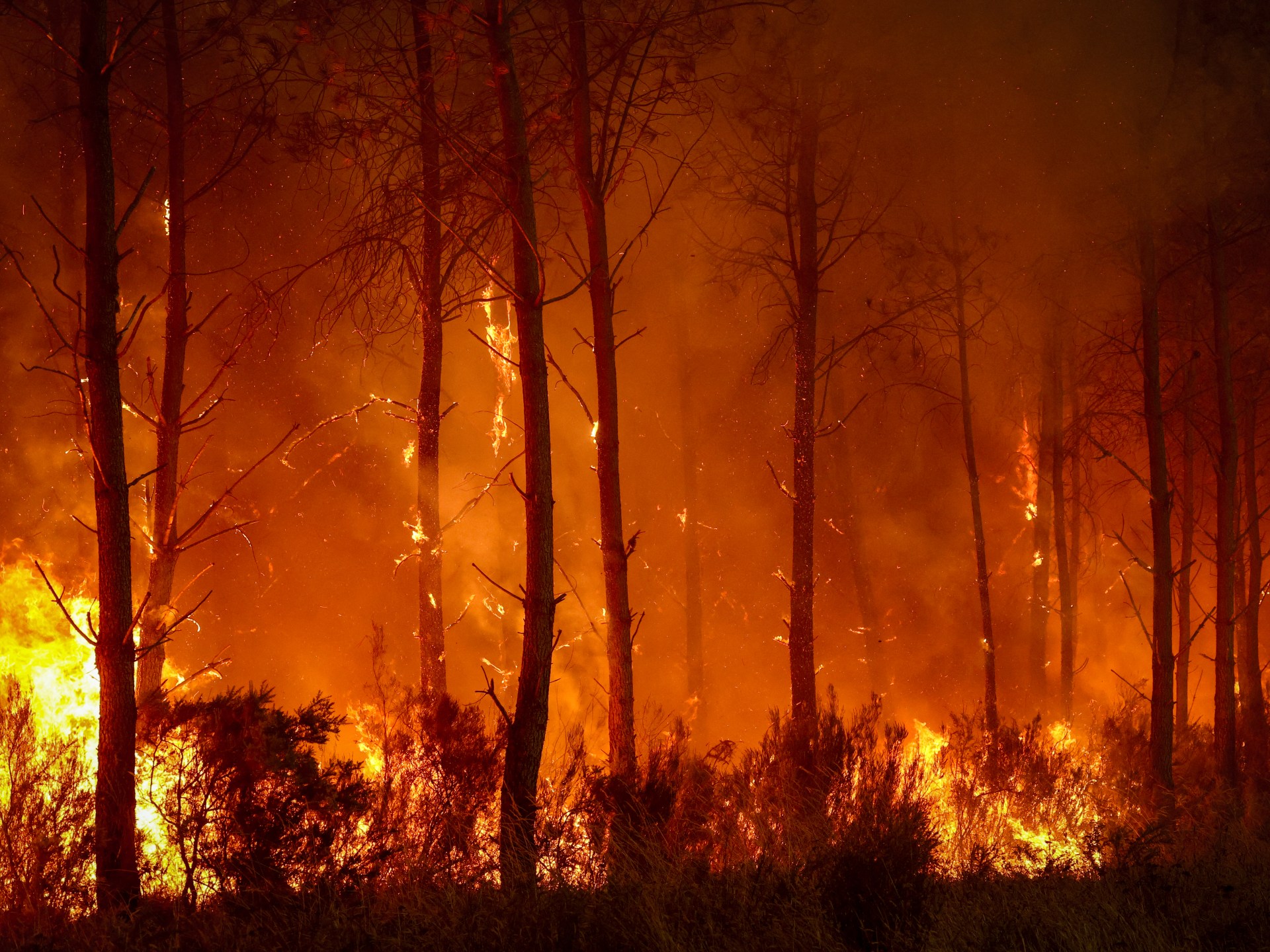 Photos: France, Spain battle ‘monster’ wildfires as more heat looms