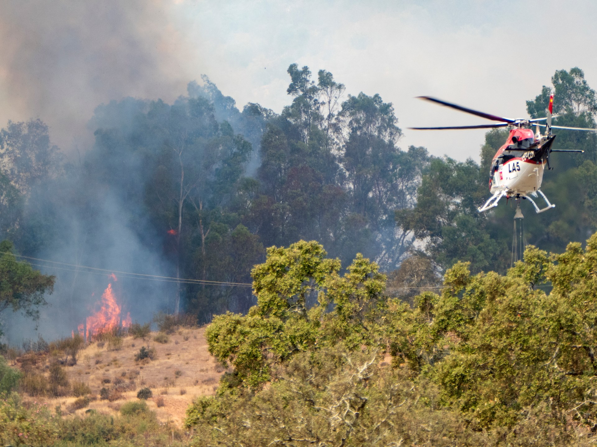 Spain and France battle raging wildfires, face high risk of more