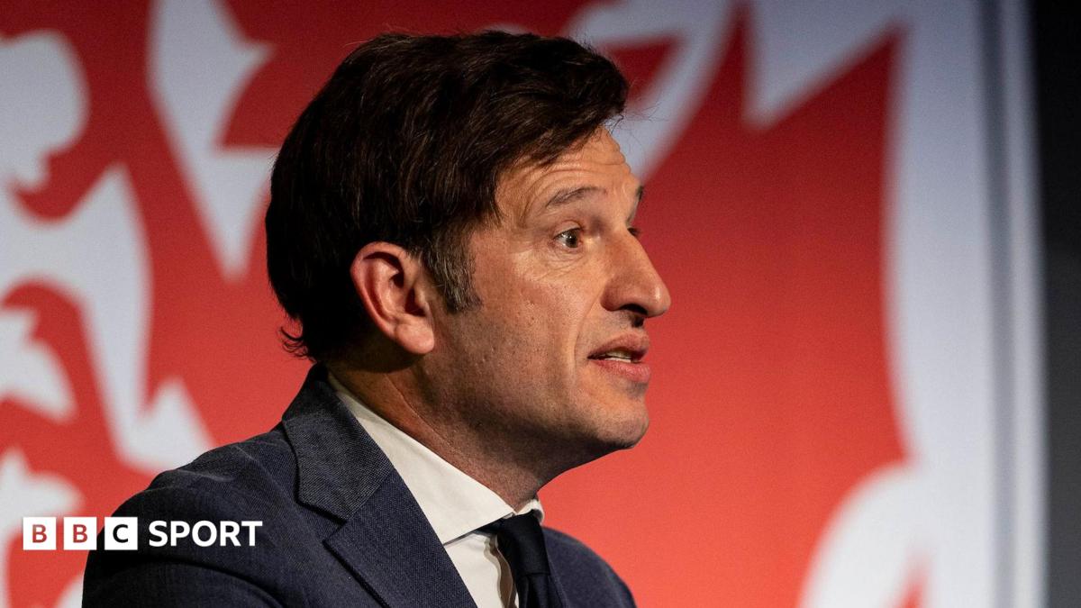 FAW chief expects Bellamy to remain Wales boss
